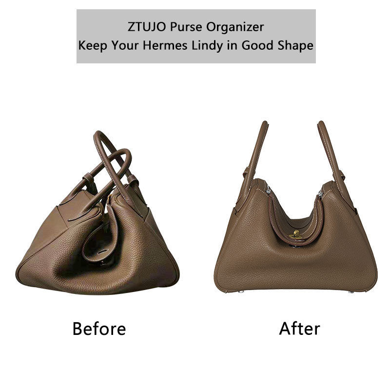  DGAZ Silky Purse Organizer Insert, Luxury Handbag & Tote  Organizer, Simplicity bag organizer Fits Hermes 24/24-35 Bags（Gold，35） :  Clothing, Shoes & Jewelry